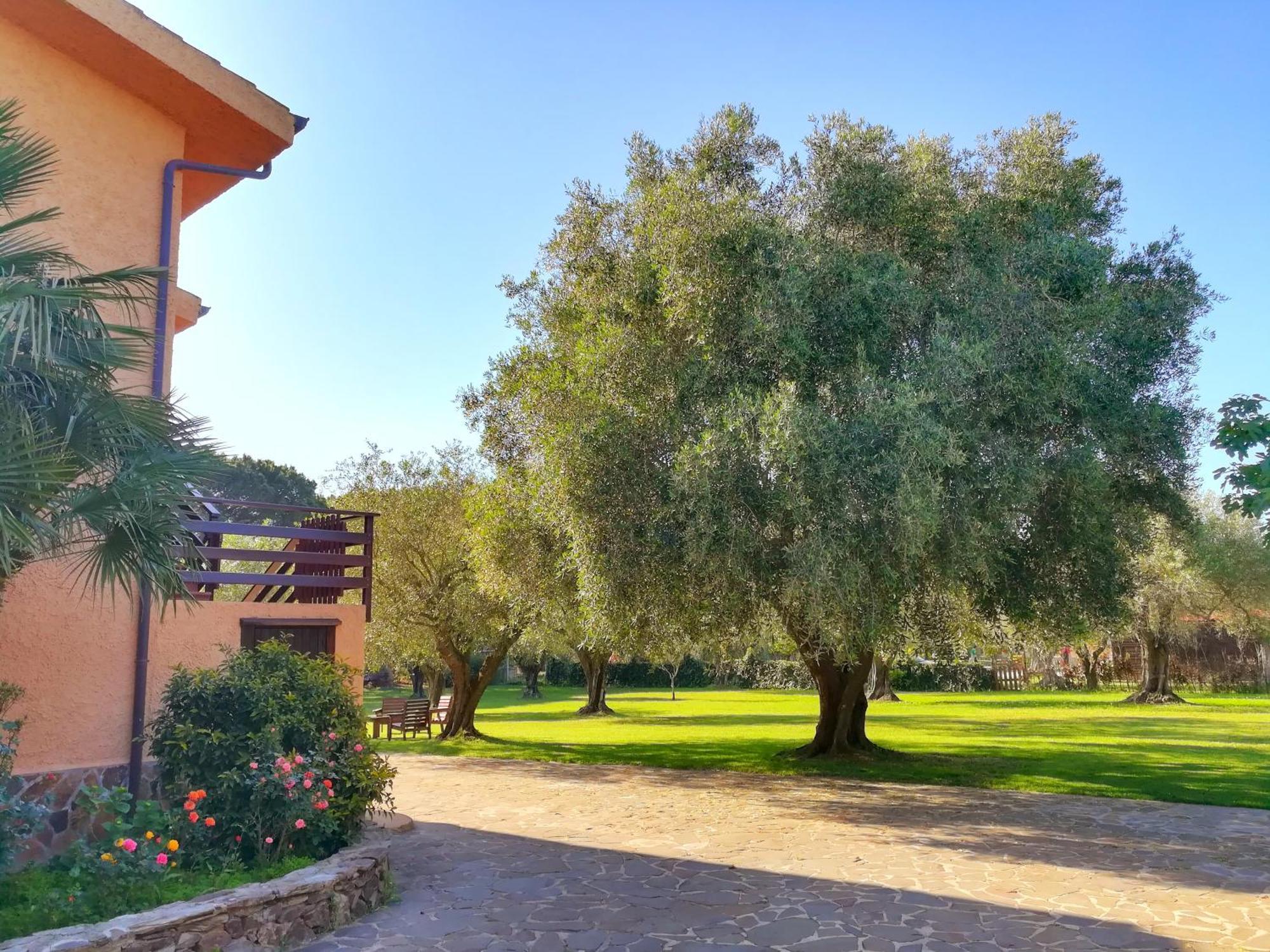 Nuraghe Bianco Bed & Breakfast Santa Maria la Palma Bagian luar foto